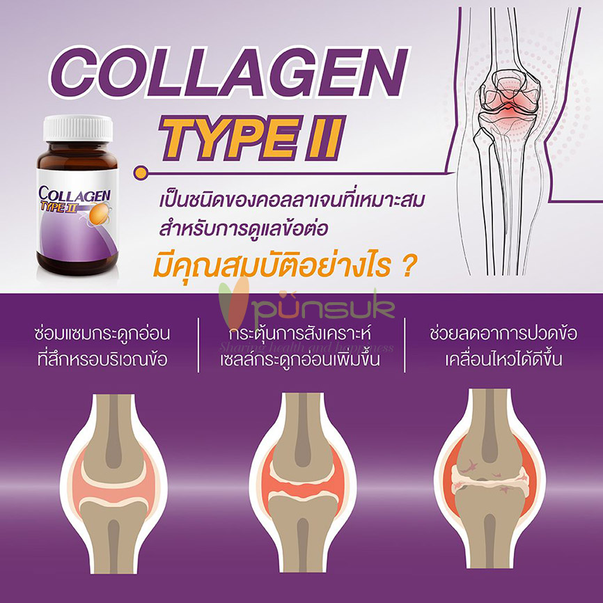 Vistra Collagen Type II