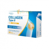 Amsel Collagen Type II Plus Curcumin แอมเซล คอลลาเจน ไทพ์ II พลัส เคอร์คูมิน 30 แคปซูล (Capsules)
