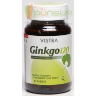 Vistra Ginkgo 120 mg (30 Capsules)