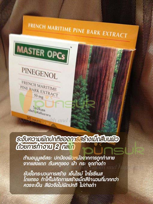 NUTRAKAL Master OPCs Pinegenol 50 mg. (30 Tablets) - นูทราแคล มาสเตอร์ โอพีซี ไพน์จีนอล 50 มิลลิกรัม (30 เม็ด)